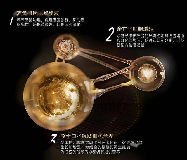 xm外汇代理佣金多少探秘“造星”口令！北京商业航天形成国内最全产业链